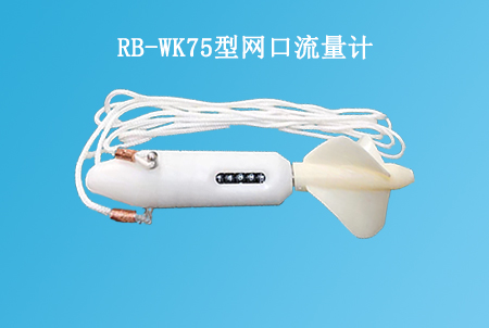 RB-WK75型網(wǎng)口流量計(jì)